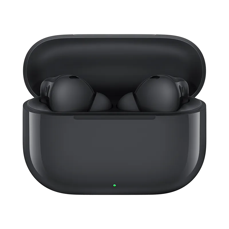 HUAWEI FreeBuds SE 4 ANC Wired Charging Black